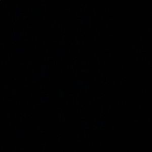 Meet your Posher, Christian